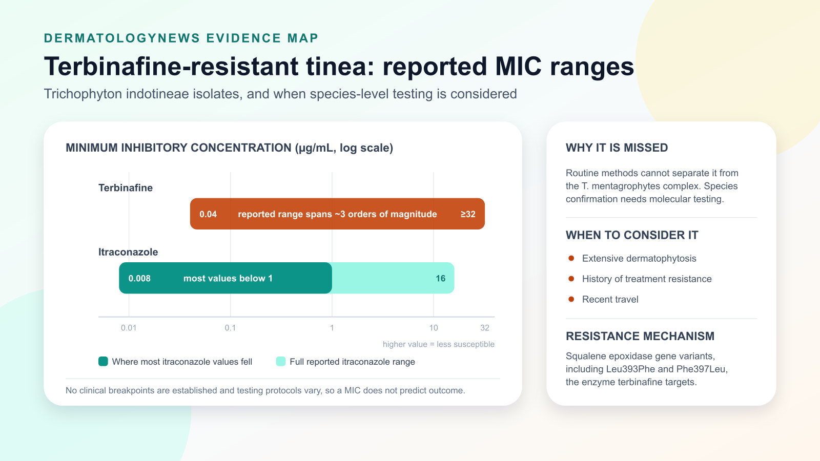 Range chart of reported minimum inhibitory concentrations for Trichophyton indotineae: terbinafine values span 0.04 to 32 micrograms per millilitre or more, while most itraconazole values sit below 1.